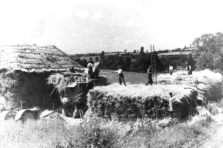 Threshing at Newton St Cyres in 1942, Captain Noel Quicke, Arthur Parker, Bill Hewitt and Doris Woolway, Joe German, Arthur Heal (with ladder) Sid Roberts, George German (foreground) and Chris Baker