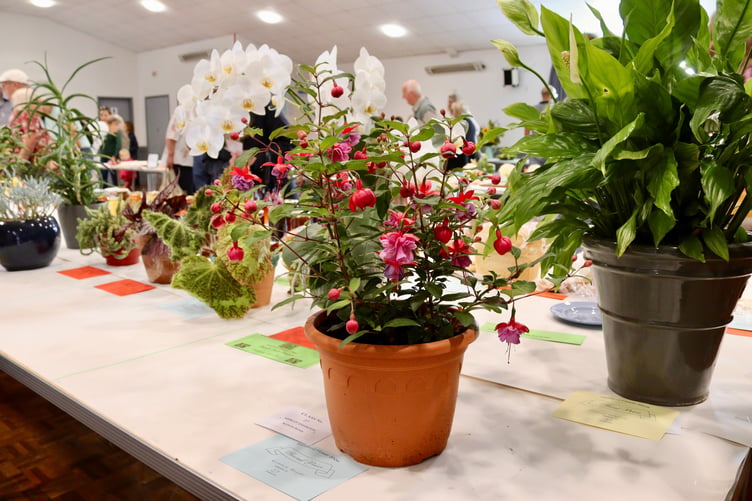 One of Nichola Selley's floral entries