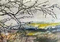 Explore Torrington artists at Devon Open Studios
