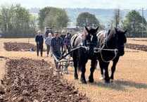 Horse ploughman champion at Cheriton Fitzpaine match
