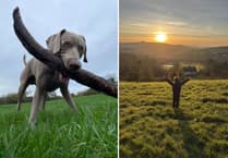 Crediton's young talents capture nature's joy