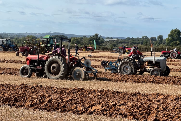 A busy scene at Cheriton Fitzpaine Ploughing Match. AQ 1450