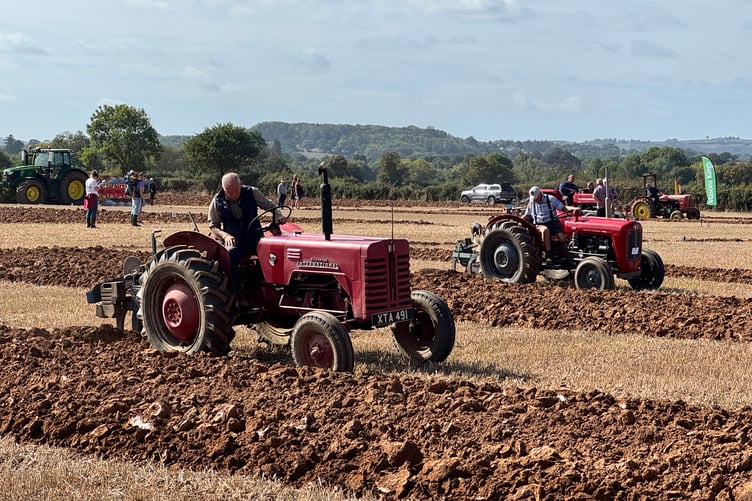 Ploughing in action at Cheriton Fitzpaine Match. AQ 1455