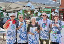 Big Green Fair enjoyed in Crediton Town Square