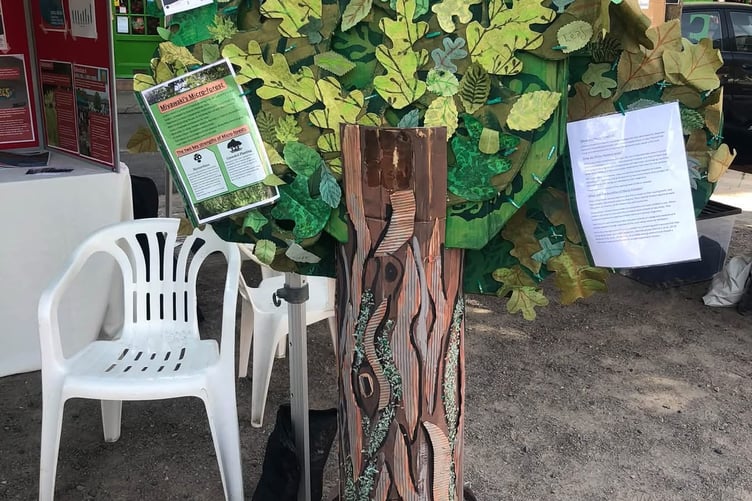 The Tree on Tour at Crediton Youth Service's stall at the Big Green Fair