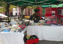 Crediton Youth Service's swap shop a hit at Big Green Fair
