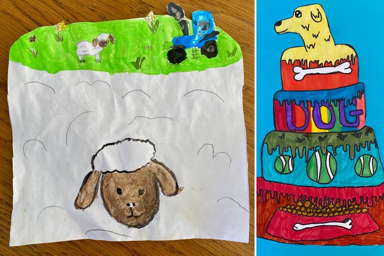 Queen Elizabeth's School student Harry's farming- and feline-focused entries