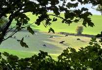 Discover Sandford Millennium Cycleway and walk