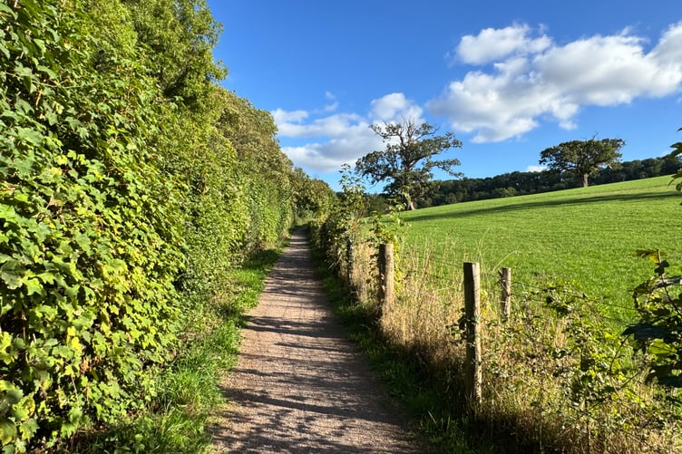The footpath is a lovely walk between Crediton and Sandford. AQ 0557