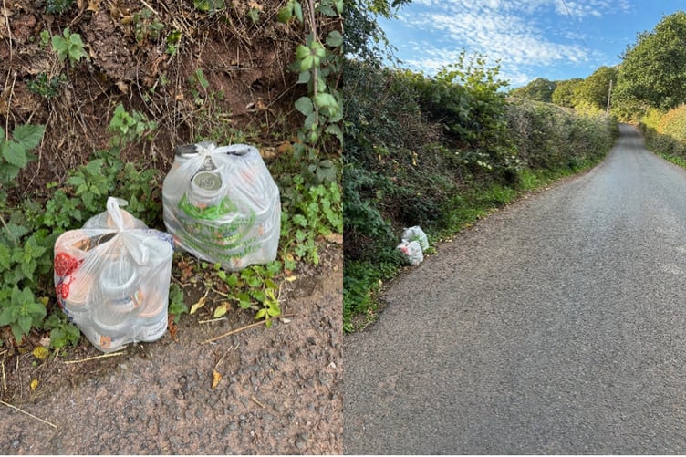Is Paddington Bear a fly Tipper.