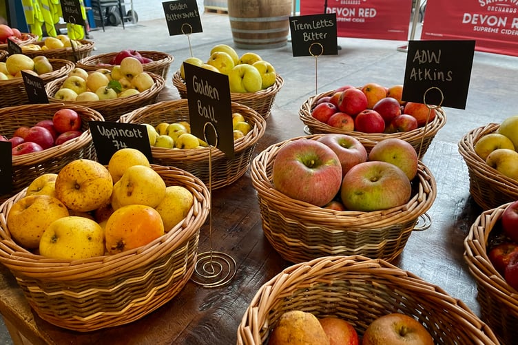 A variety of apples on display