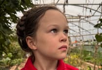 'It will change our home forever': Girl, 9, speaks out against data centre plans