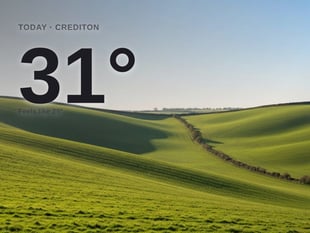 Crediton: sunny day, high of 31°C